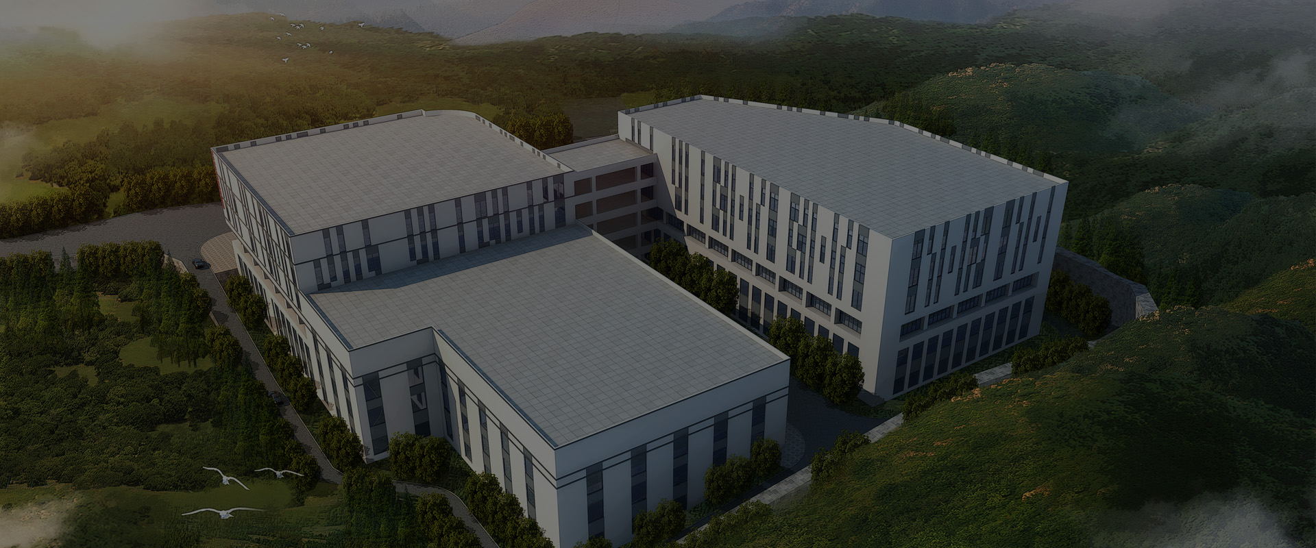 ���_���������ò��������I����